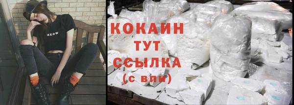 бошки Ладушкин