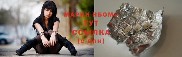 бошки Ладушкин