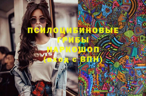 дурь Лагань