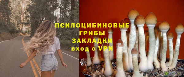 дурь Лагань