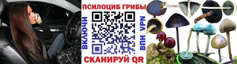 Галлюциногенные грибы GOLDEN TEACHER  Альметьевск 