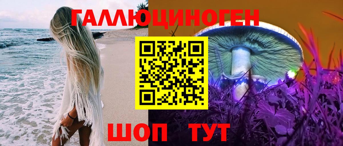 Альметьевск  Галлюциногенные грибы Psilocybine cubensis  Вход с VPN  Псилоцибиновые грибы мухоморы 